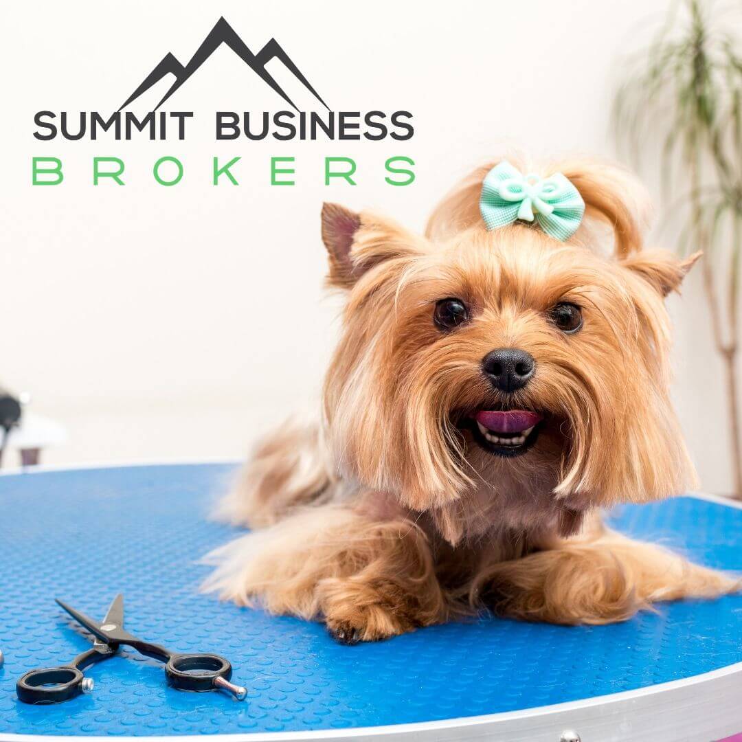 tlc pet grooming | Summit Business Brokers